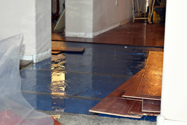 Professional Water Damage Restoration technician working in Locust, NC